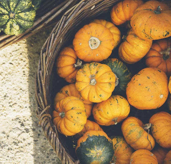 Citrouilles d'automne sur le marché agricole d'en haut . — Photo