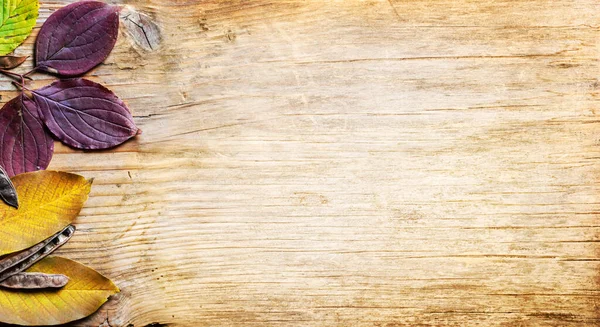 黄秋叶框顶景 复古木制背景 秋天与褐色山毛榉叶缘的质感质感质感质朴 九月设计横幅 — 图库照片