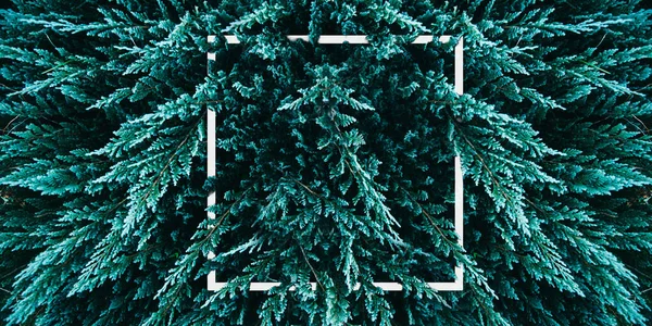 Grüne Botanische Trendige Textur Hintergrund Mit Design Rahmen Dunkle Stimmungsvolle — Stockfoto