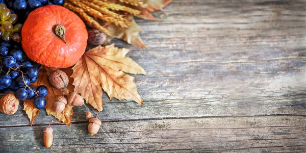 Thanksgiving Diner Achtergrond Met Herfst Oranje Pompoen Seizoensfruit Gewas Esdoorn — Stockfoto
