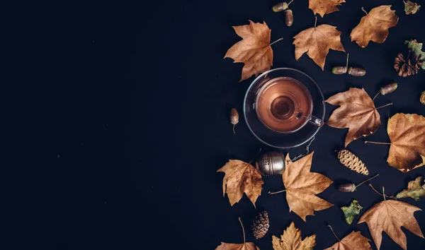 Teetasse Mit Herbstblättern Eicheln Und Zapfen Auf Dunklem Hintergrund Von — Stockfoto