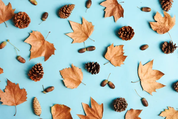 秋の葉には上から青地にアコーンと円錐形の模様が付きます カラーテーブルのメイプルの葉の質感 ミニマル感謝祭とハロウィンの季節のデザインポップアート — ストック写真