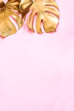 Altın tropikal yapraklı lüks doğal arka plan. Pastel pembe arka planda altın canavar yaprağı. Minimum düz dizayn. Modayı takip eden şık yaşam tarzı konsepti.