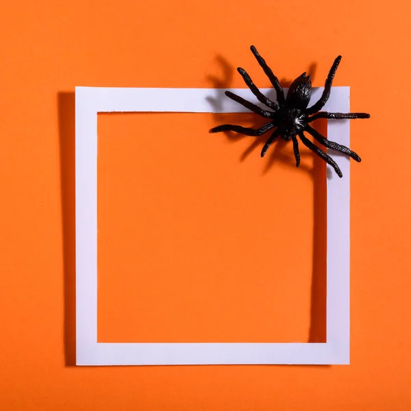 Empty White Frame Scary Black Spider Orange Paper Halloween Background — Stock Photo, Image