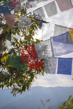 Birçok renkli sallanan dua bayrakları ağaçlar arasında askıya