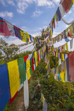 Birçok renkli sallanan dua bayrakları ağaçlar arasında askıya
