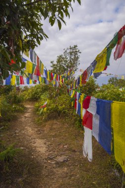 Birçok renkli sallanan dua bayrakları ağaçlar arasında askıya
