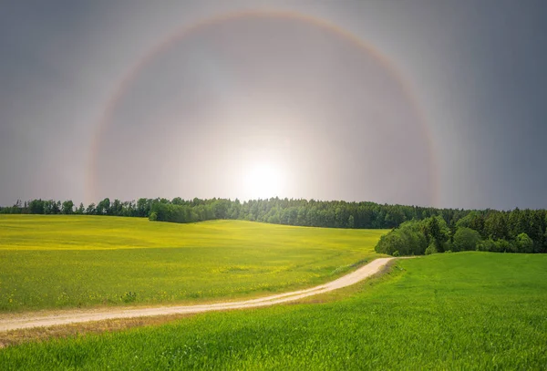 Ein Heiligenschein Die Sonne — Stockfoto