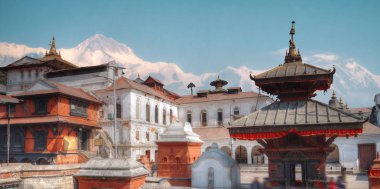 Serbest yürüyen maymun. Peştupatinath Tapınağı, Katmandu, Nepal 'de art arda tapınak ve türbeler.