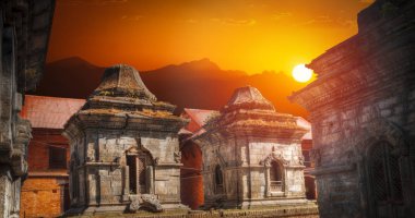 Serbest yürüyen maymun. Peştupatinath Tapınağı, Katmandu, Nepal 'de art arda tapınak ve türbeler.