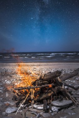 Deniz kenarında bir ormandaki bir kamp içinde bir şenlik ateşi yakar.