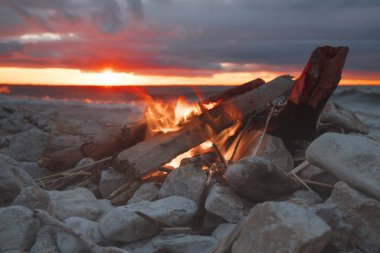 Deniz kenarında bir ormandaki bir kamp içinde bir şenlik ateşi yakar.