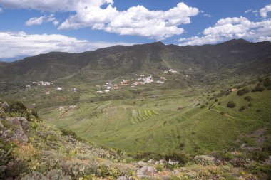 Dağ peyzaj tropikal ada Tenerife