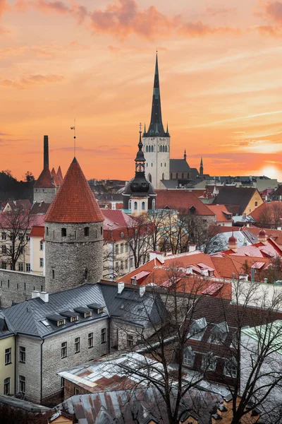 Schöne fotos von tallinn — Stockfoto