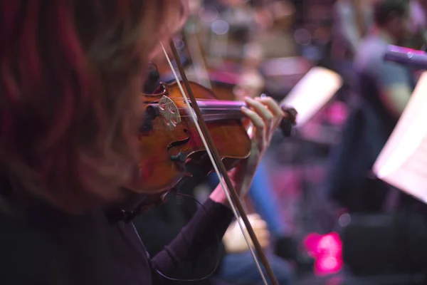 violin at a concert