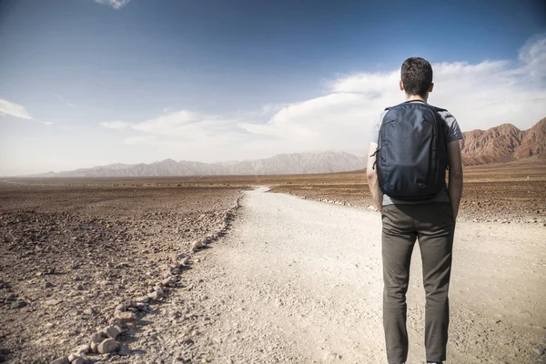 Andes in the Nazca desert — Stock Photo, Image