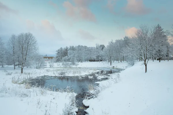 ミンスク市の雪の冬の森と公園 — ストック写真