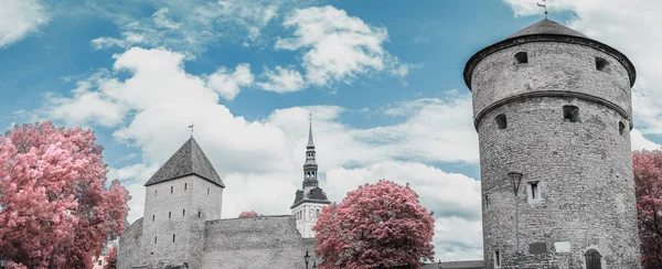 Infrared photo. picturesque and very beautiful  photos of Tallinn