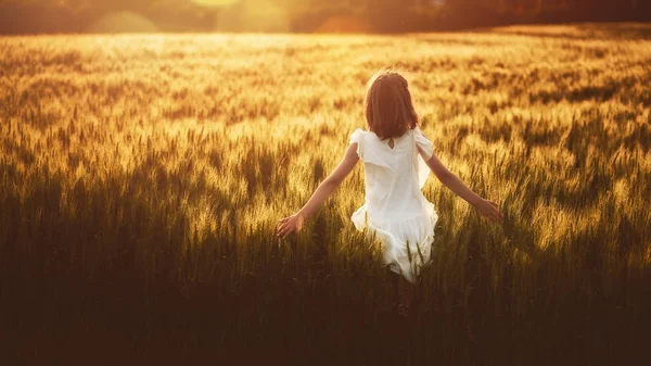 幸せな子供は夏に自然を楽しんでは 夕日を背景に牧草地で遊んでいます 女の子は穀物のフィールド上で実行され 小麦の耳に触れる — ストック写真