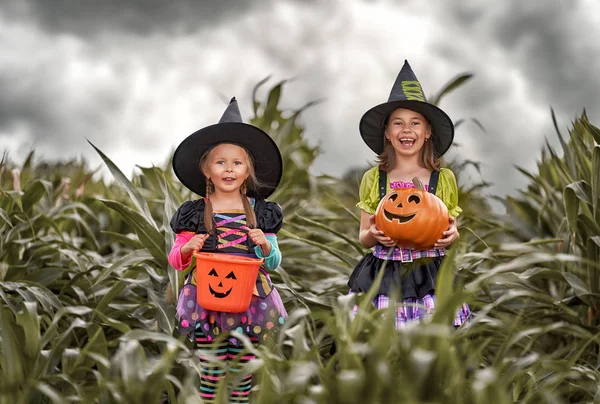 Glad Halloween Två Söta Små Skrattande Flickor Häxor Kostymer Majsfält — Stockfoto
