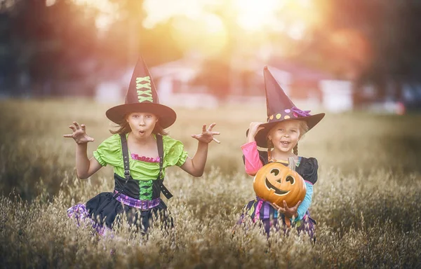 Buon Halloween Due Graziose Bambine Ridenti Costume Strega Sul Campo — Foto Stock