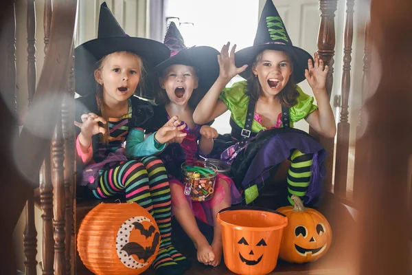 Frohes Halloween Drei Süße Kleine Lachende Mädchen Hexenkostümen — Stockfoto