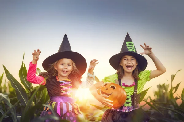 Glad Halloween Två Söta Små Skrattande Flickor Häxor Kostymer Majsfält — Stockfoto