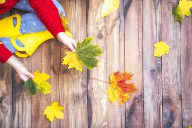 Sonbahar yaprakları yürüyüş ile oynayan mutlu çocuk.  