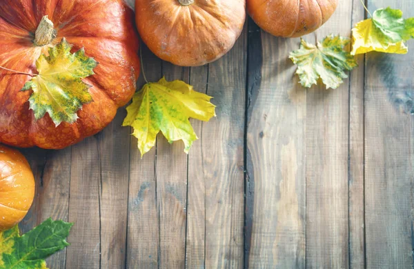 Feliz Día Acción Gracias Fiesta Otoño Celebra Las Fiestas Calabazas — Foto de Stock