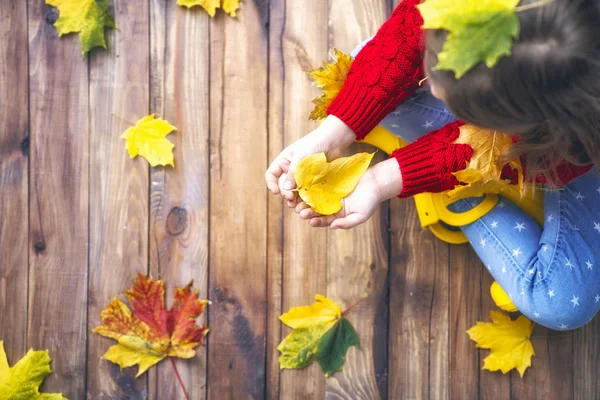 Niño Feliz Jugando Con Hojas Otoño Paseo —  Fotos de Stock