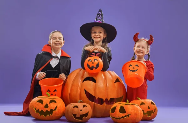 Piccola strega, Dracula e zucca su sfondo viola — Foto Stock