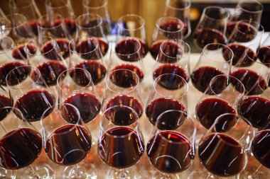 Degüstasyon kırmızı asma