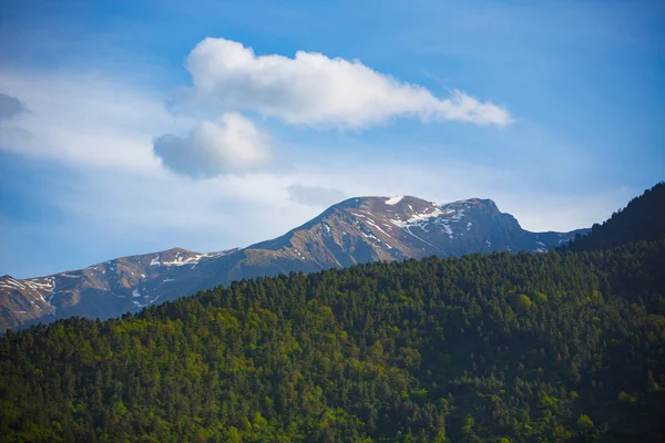 Beautiful sunny day in mountain valley — Stock Photo, Image