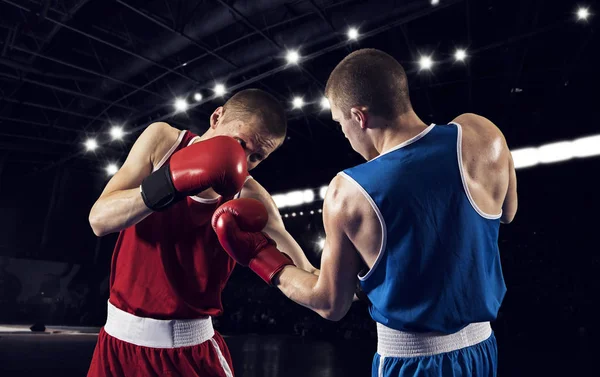 Dois Boxeador Profissional Boxe Fundo Preto — Fotografia de Stock