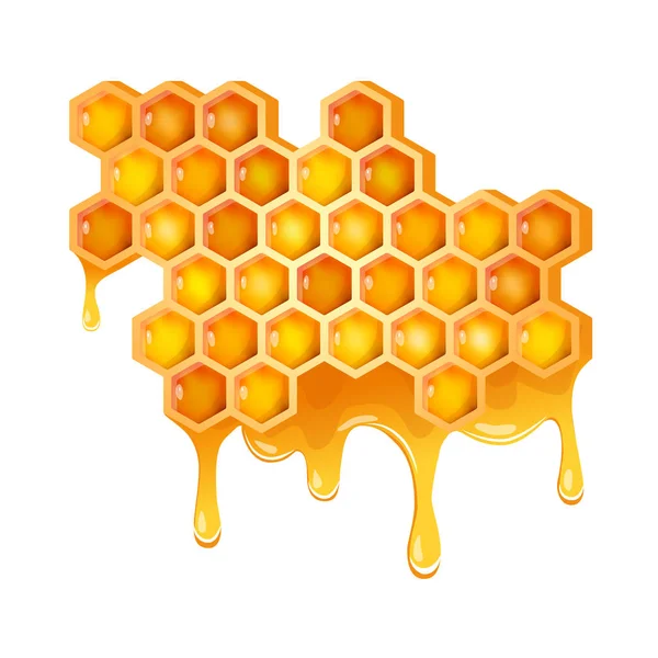 Медовые соты с текучим медом — стоковый вектор