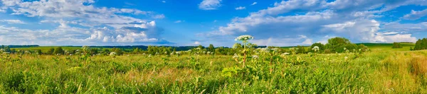 Panoramik Bir Çayır Gün Batımında Heraclium Üzerinde Planda Kırsal Manzara — Stok fotoğraf