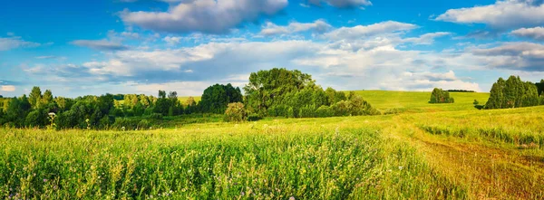 Panoramisch Uitzicht Een Weide Bij Zonsondergang Rurale Landschap Panorama — Stockfoto