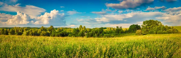 Panoramisch Uitzicht Een Weide Bij Zonsondergang Rurale Landschap Panorama — Stockfoto