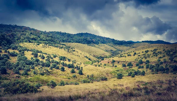 Mattinata Nebbiosa Horton Plains Panorama Paesaggio — Foto Stock