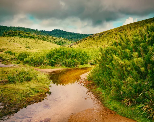 Belle Vue Sur Les Plaines Horton Paysage Montagneux Sri Lanka — Photo