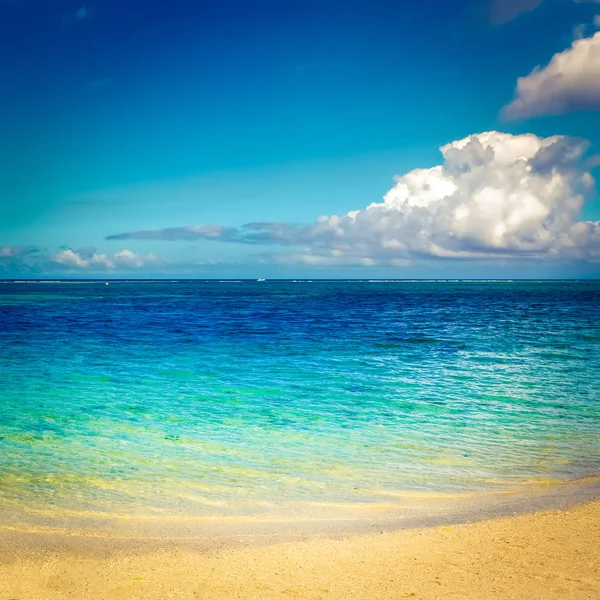 Sandy Tropikal Wolmar Kumsalda Güneşli Bir Gün Güzel Manzara Mauritius — Stok fotoğraf