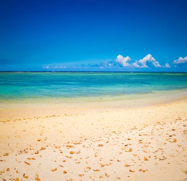 Piaszczysta Plaża Tropikalne Wolmar Słoneczny Dzień Piękny Krajobraz Mauritius — Zdjęcie stockowe