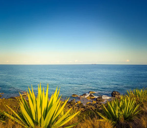 Coastal View Beautiful Landscape Mauritius — Stock Photo, Image