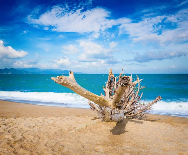 Vista Panorámica Playa Nha Trang Día Soleado Hermoso Paisaje Tropical —  Fotos de Stock