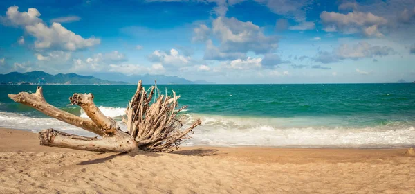 Vista Panorâmica Praia Nha Trang Dia Ensolarado Bela Paisagem Tropical — Fotografia de Stock