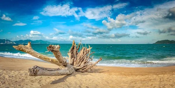 Doğal Görünümü Nha Trang Beach Güneşli Bir Gün Güzel Tropikal — Stok fotoğraf