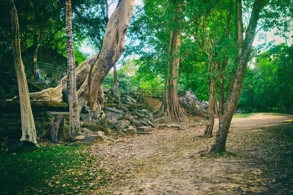Beng Mealea Veya Tıkamak Mealea Tapınağı Nda Sabah Saat Siem — Stok fotoğraf