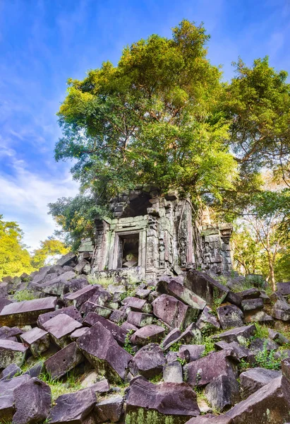 Beng Mealea Veya Tıkamak Mealea Tapınağı Nda Sabah Saat Siem — Stok fotoğraf