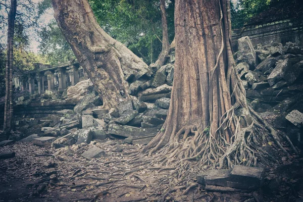 Beng Mealea Veya Tıkamak Mealea Tapınağı Nda Sabah Saat Siem — Stok fotoğraf