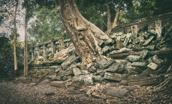 Beng Mealea Veya Tıkamak Mealea Tapınağı Nda Sabah Saat Siem — Stok fotoğraf